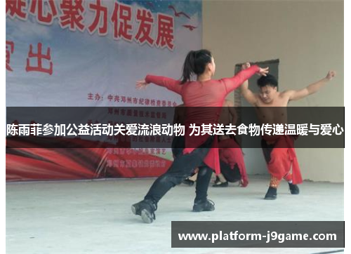 陈雨菲参加公益活动关爱流浪动物 为其送去食物传递温暖与爱心
