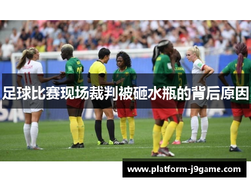 足球比赛现场裁判被砸水瓶的背后原因