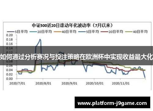 如何通过分析赛况与投注策略在欧洲杯中实现收益最大化